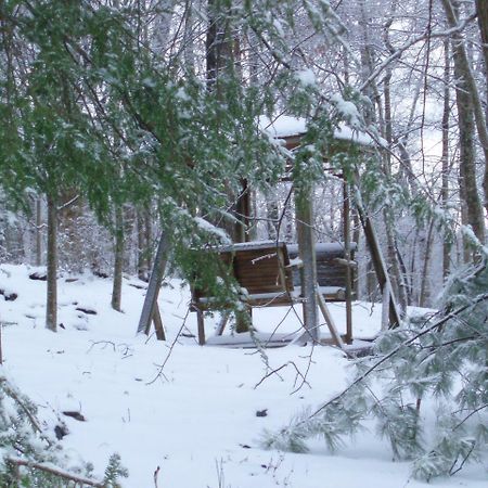 Mountain Top Lodge Далонега Екстериор снимка